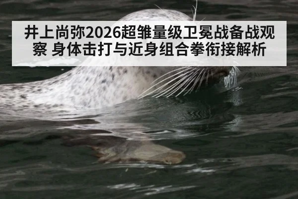 井上尚弥2026超雏量级卫冕战备战观察 身体击打与近身组合拳衔接解析